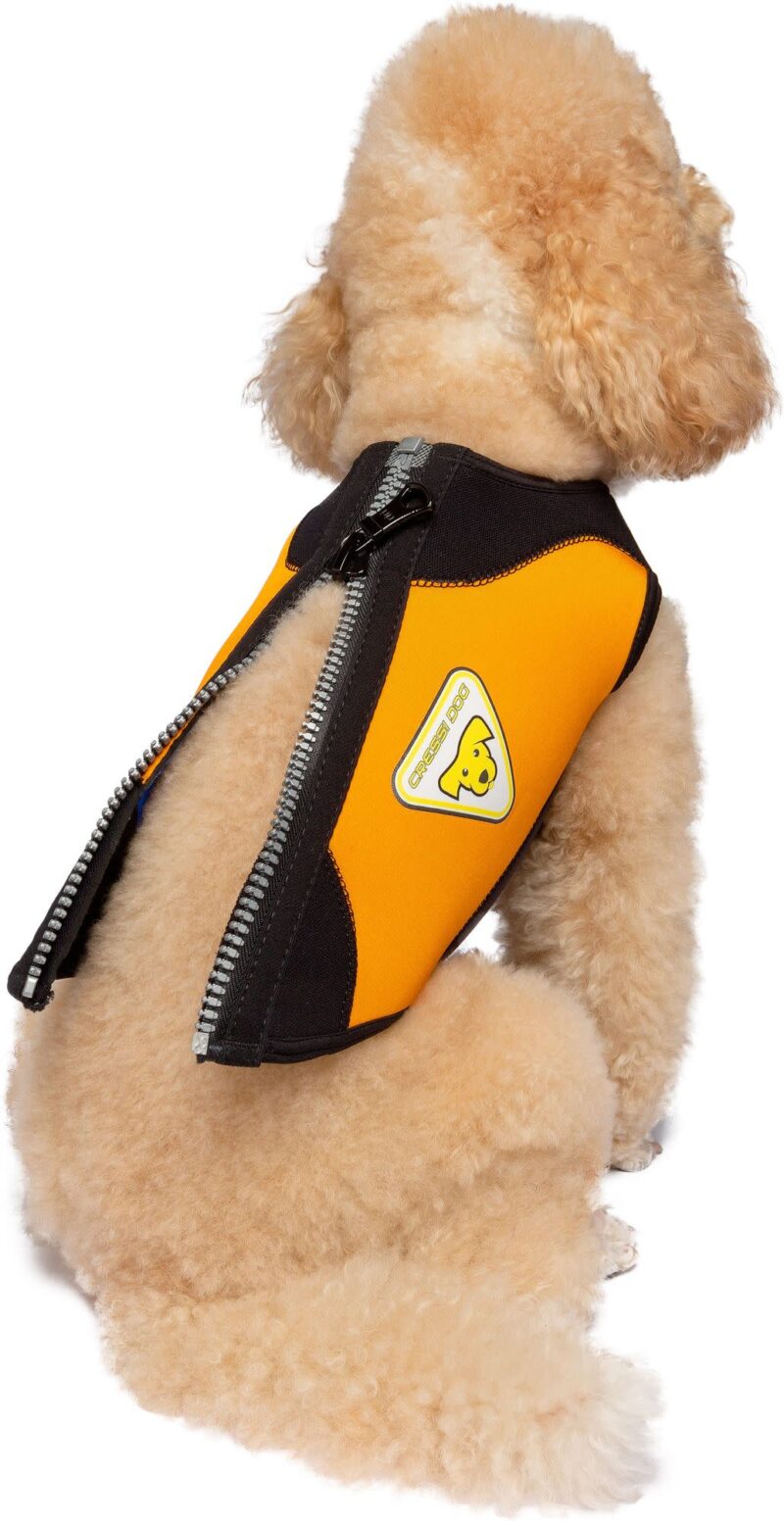 Cressi DOG WETSUIT 3 mm SIZE L - Image 3