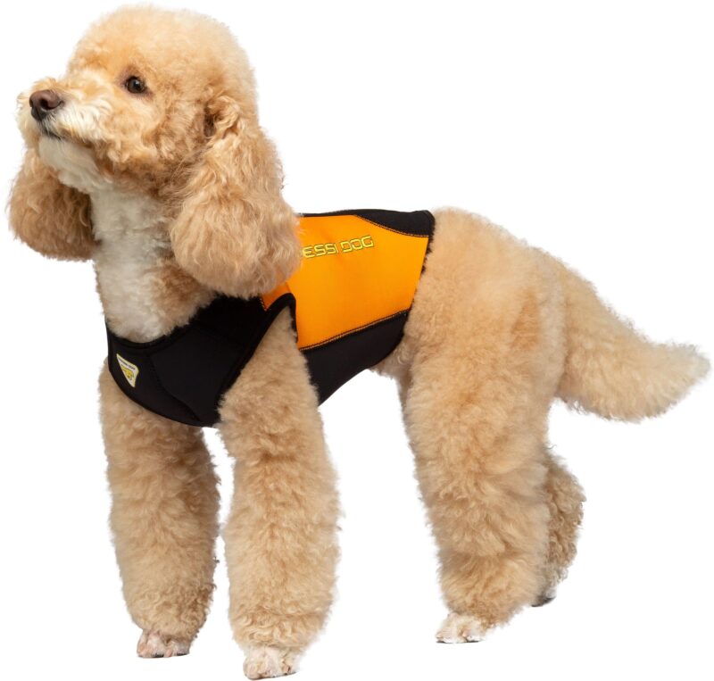 Cressi DOG WETSUIT 3 mm SIZE L