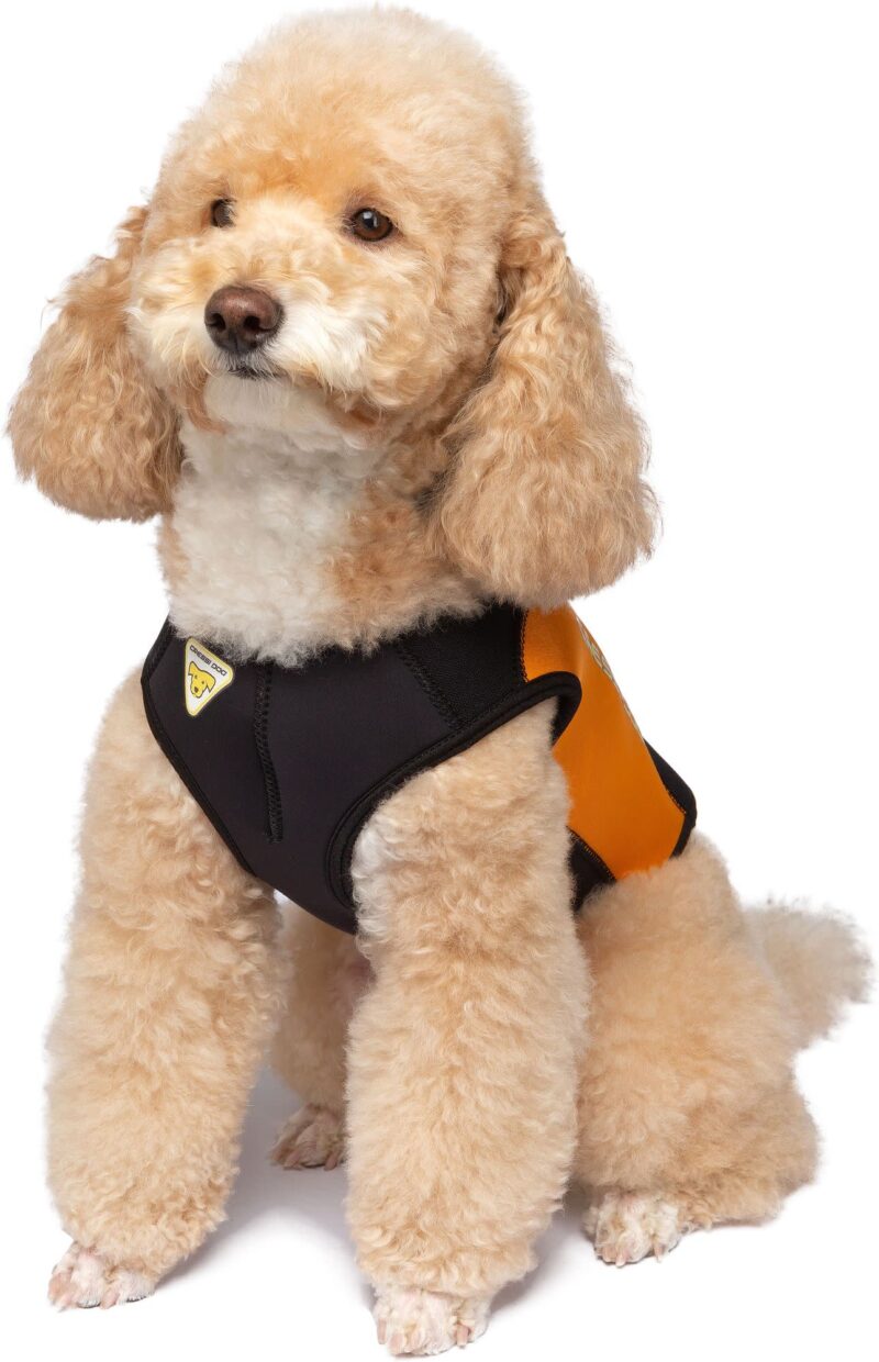 Cressi DOG WETSUIT 3 mm SIZE L - Image 4