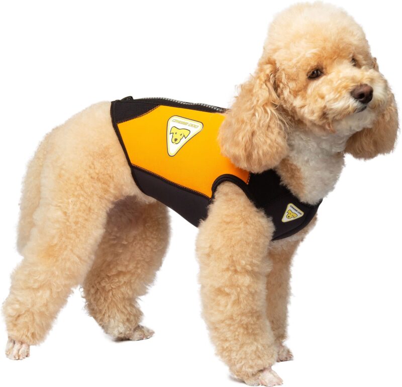 Cressi DOG WETSUIT 3 mm SIZE L - Image 9