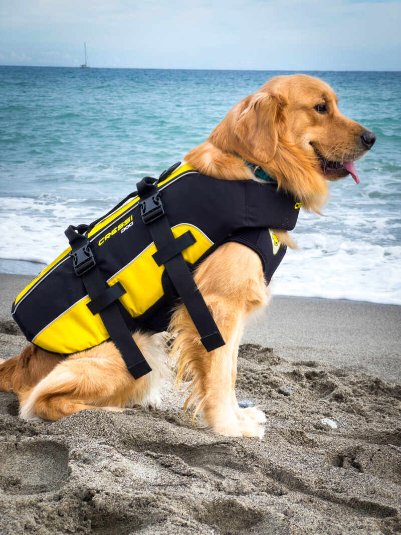 Cressi DOG LIFE JACKET SIZE M2XS - Image 17